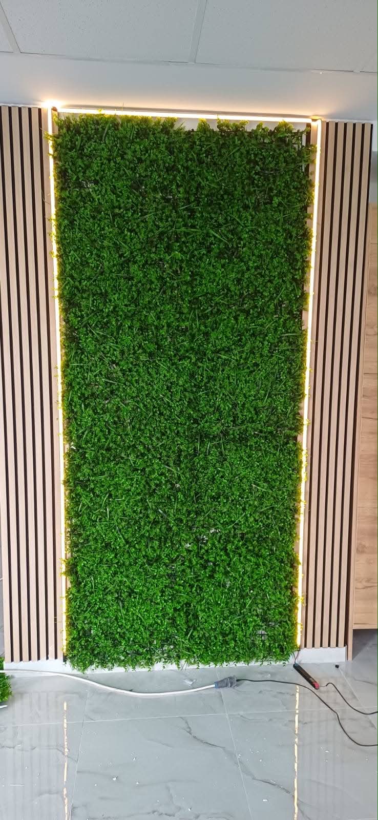 Elektring projekat 6
